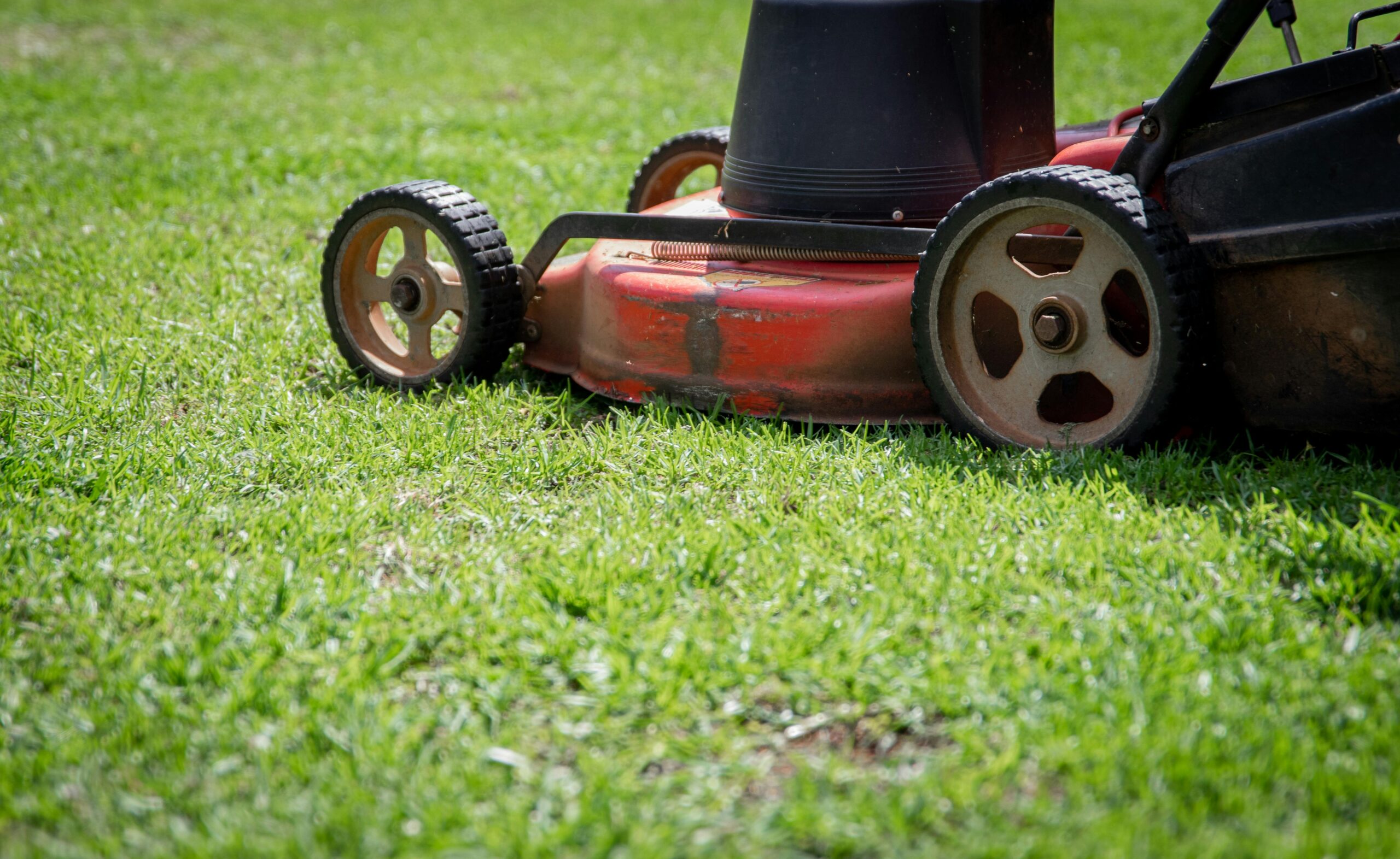 GRASS CUTTING